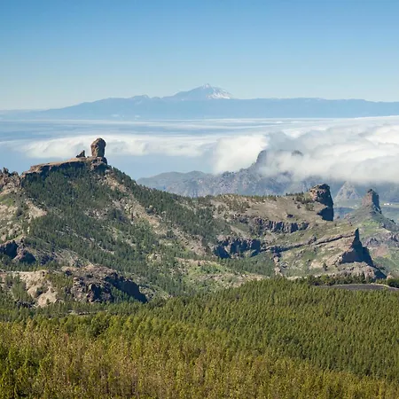 Apartament Paraiso Teresa